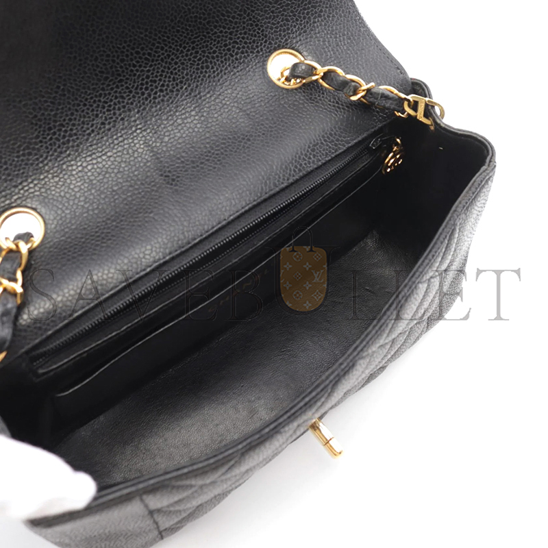 CHANEL CAVIAR SMALL DIANA FLAP BAG 210121 (22*14*7cm)